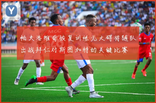 帕夫洛维奇恢复训练无大碍将随队出战拜仁对斯图加特的关键比赛