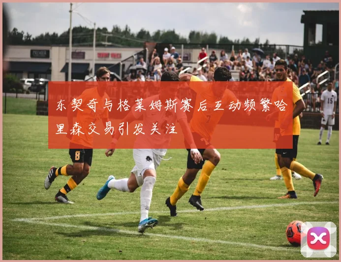 东契奇与格莱姆斯赛后互动频繁哈里森交易引发关注